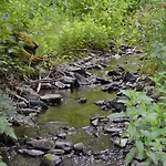 Prosterath-hochwald