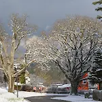 Prosterath-hochwald 3*