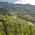 Prosterath-hochwald