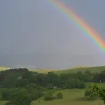 Prosterath-hochwald