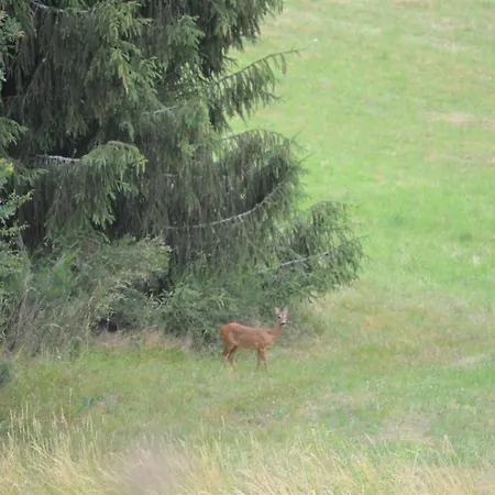 Prosterath-hochwald Bed & Breakfast Prosterath