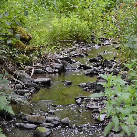 Prosterath-hochwald