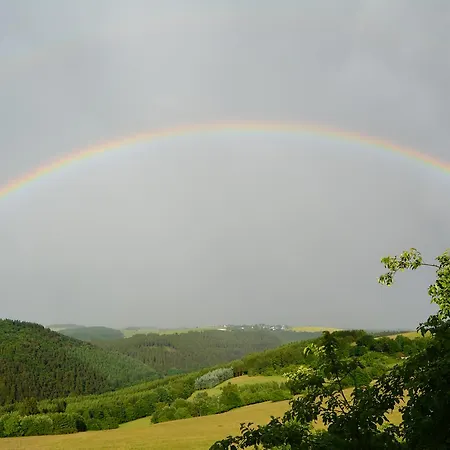 Prosterath-hochwald