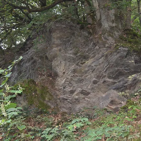 Prosterath-hochwald Oda ve Kahvaltı Prosterath