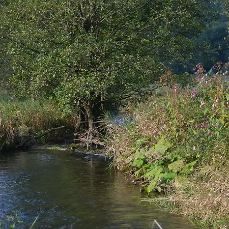 Prosterath-hochwald