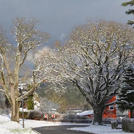 Prosterath-hochwald 3*