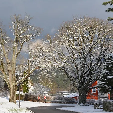 Prosterath-hochwald *