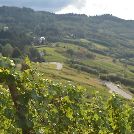 Prosterath-hochwald