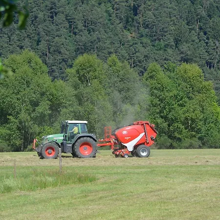Prosterath-hochwald * Prosterath