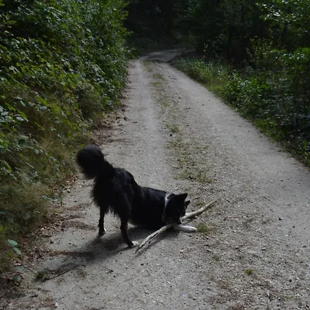 Prosterath-hochwald Bed & Breakfast Prosterath